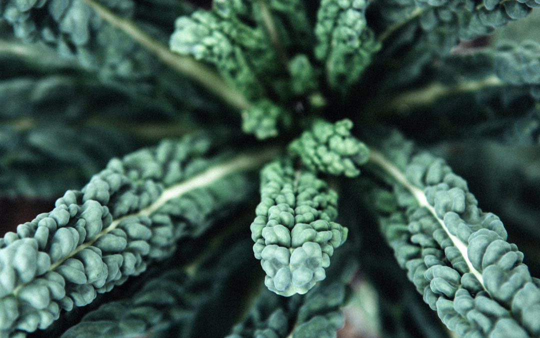 New Year Cleanse: Day 4 — Keen on Kale