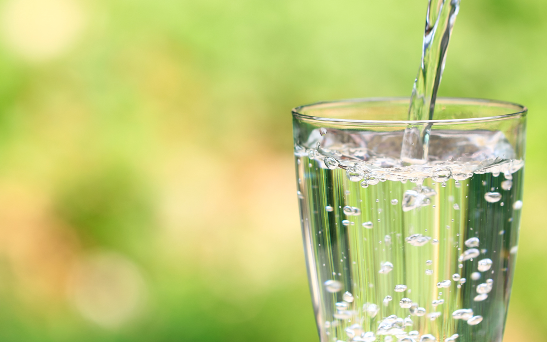 2024 New Year Cleanse: Day 1 — Water-Fast Jumpstart