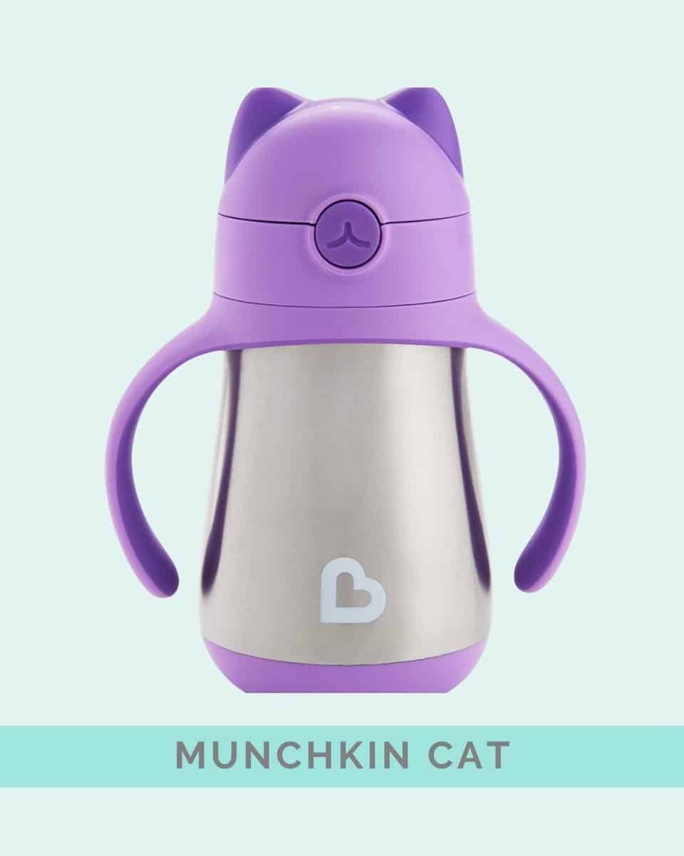 Munchkin Cat cup