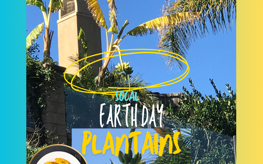 Earth Day Plantains