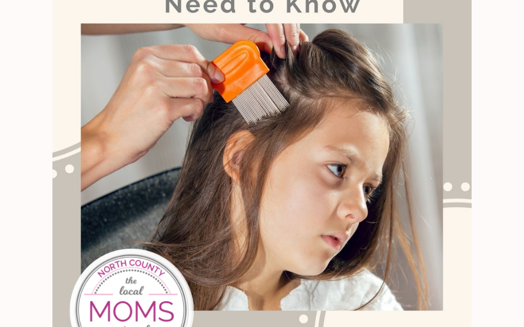 Head Lice — How to Prevent & Treat These Hair Pests