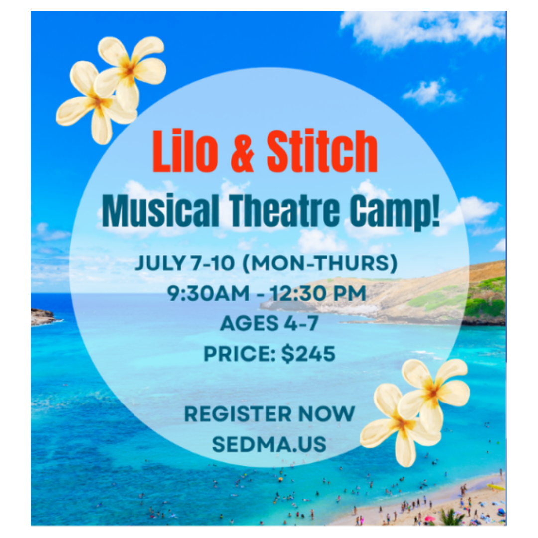 SEDMA_Lilo&Stitch_camp_2026